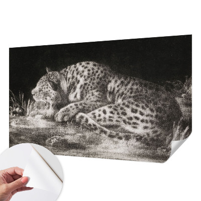 Fototapetai su leopardinio rašto motyvu