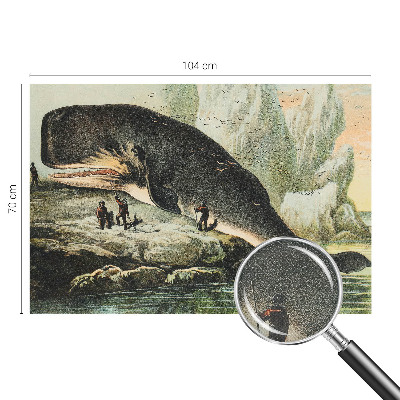 3D fototapetas sienoms Havgigantisme