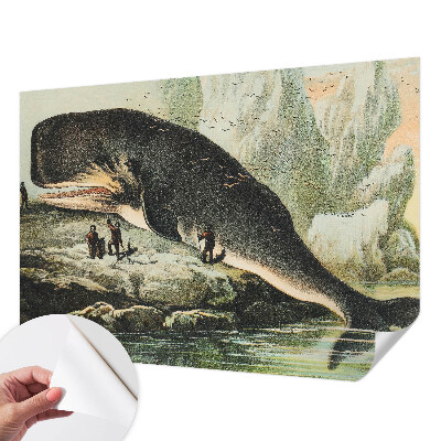 3D fototapetas sienoms su motyvu „Havgigantisme“