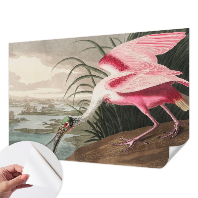 3D fototapetas su egzotiniu paukščio motyvu