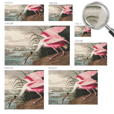 3D fototapetas Egzotiškas fugl