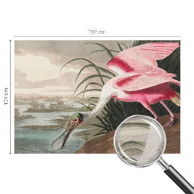 3D fototapetas Egzotiškas fugl