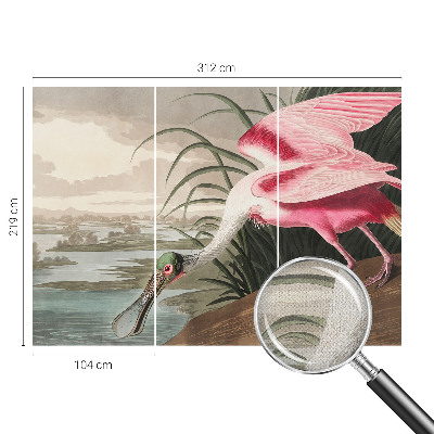 3D fototapetas Egzotiškas fugl