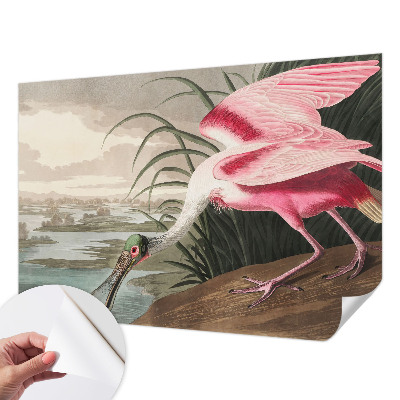 3D fototapetas su egzotiniu paukščio motyvu