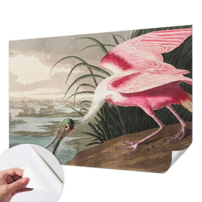 3D fototapetas su egzotiniu paukščio motyvu