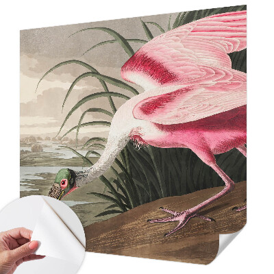 3D fototapetas su egzotiniu paukščio motyvu