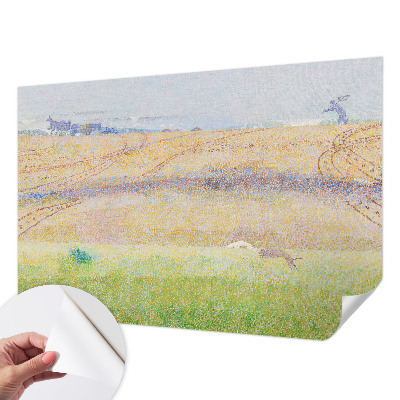 3D fototapetas sienoms su vasaros ženklu