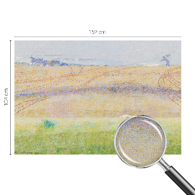 3D fototapetas sienoms su vasaros ženklu