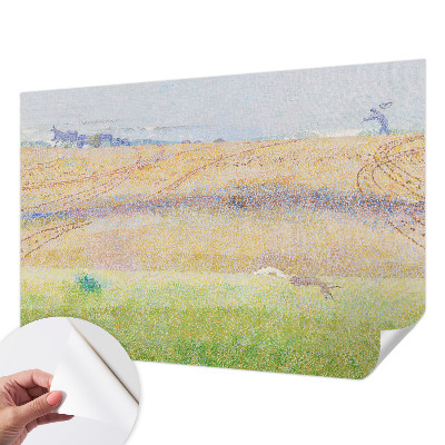 3D fototapetas sienoms su vasaros ženklu