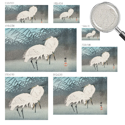 Fototapetas vaikams Sarte fugle