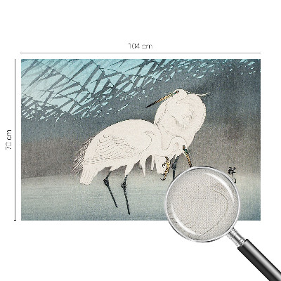 Fototapetas vaikams Sarte fugle