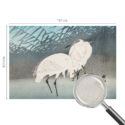 Fototapetas vaikams Sarte fugle