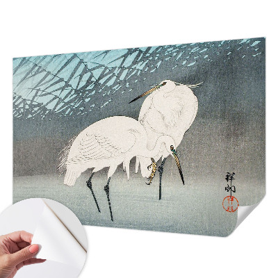 Fototapetas vaikams Sarte fugle