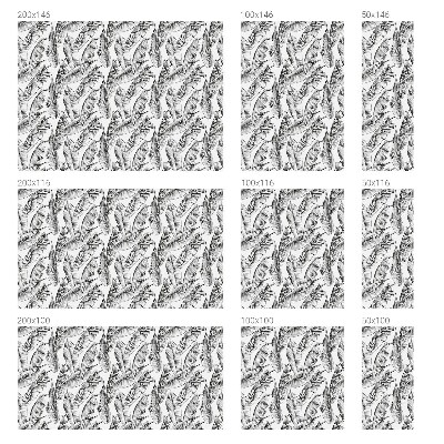 Plėvelė langams privatumui vitražas Tropiniai lapai