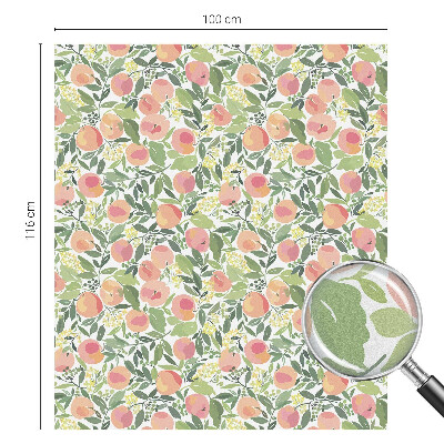 Matinė klijuojama plėvelė langams Vaisių raštas