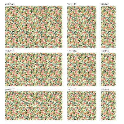 Matinė klijuojama plėvelė langams Vaisių raštas