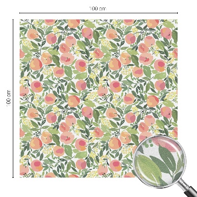 Matinė klijuojama plėvelė langams Vaisių raštas