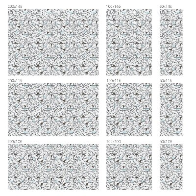 Nepermatoma plėvelė langams Abstrakčios formos