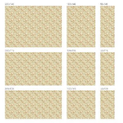 Plėvelė langams privatumui vitražas Gėlių elegancija