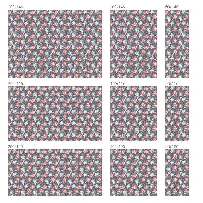 Nepermatoma plėvelė langams Gėlių elegancija