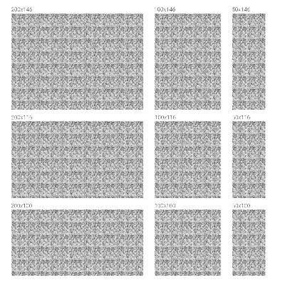 Matinė plėvelė langams su vitražo efektu Gėlių elegancija