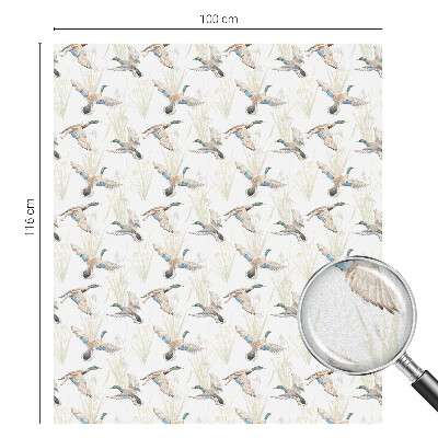 Matinė klijuojama plėvelė langams Paukščių gamta