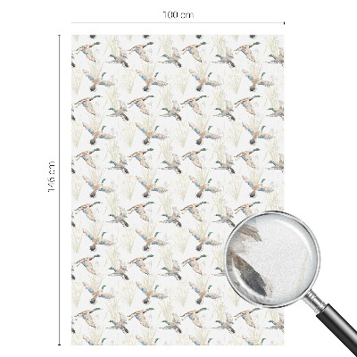 Matinė klijuojama plėvelė langams Paukščių gamta