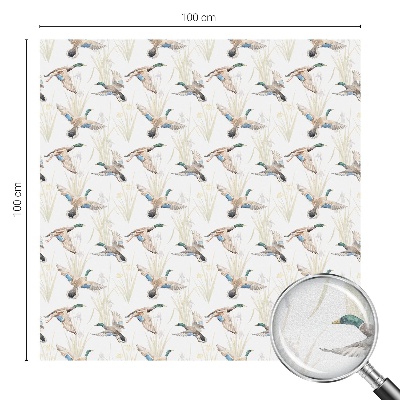 Matinė klijuojama plėvelė langams Paukščių gamta