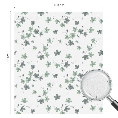 Plėvelė langams privatumui vitražas Žalias vynmedis