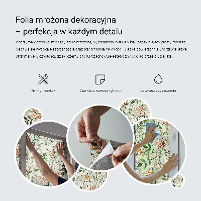 Matinė plėvelė langams su vitražo efektu Augalų motyvas