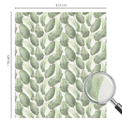 Nepermatoma plėvelė langams Žali lapai