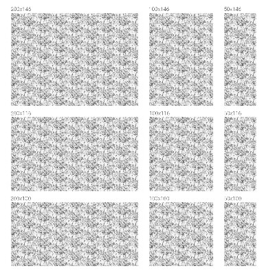 Nepermatoma plėvelė langams Gėlių elegancija