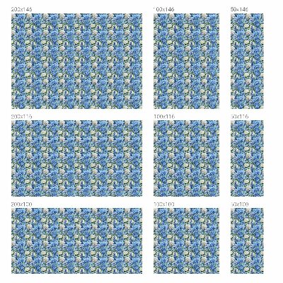 Matinė klijuojama plėvelė langams Gėlių žavesys