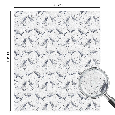 Matinė klijuojama plėvelė langams Jūros gyvūnai