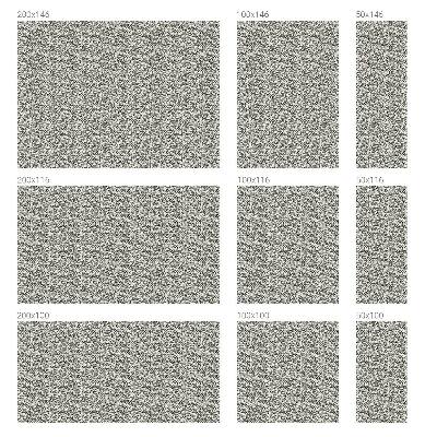 Matinė plėvelė langams su vitražo efektu Lapai žiedai