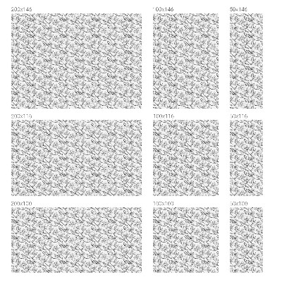 Pieninė plėvelė langams su raštu Paukščiai ir gėlės