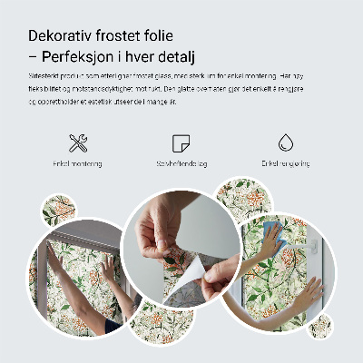 Matinė plėvelė langams su vitražo efektu Botaninis motyvas