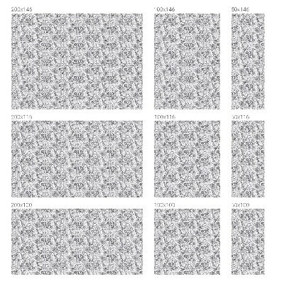 Nepermatoma plėvelė langams Floristinė elegancija