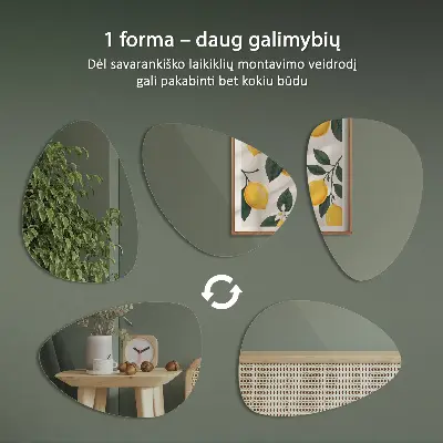 Netaisyklingos formos veidrodis universalaus dizaino