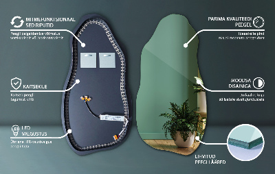 Kreivas veidrodis Modernus su LED