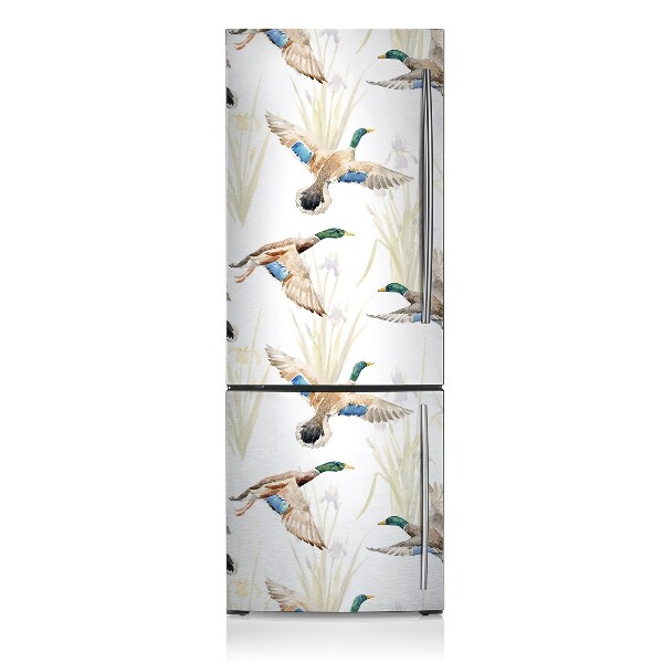 Magnetinis lipdukas ant šaldytuvo Antis