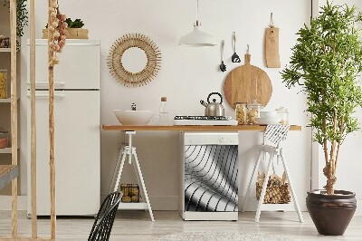 Magnetinis lipdukas indaplovei Metalinis