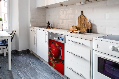 Magnetinis kilimėlis indaplovei Raudonas obuolys
