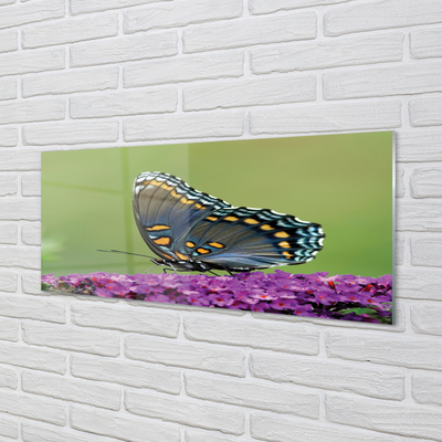 Akriliniai paveikslas Spalvingas drugelis ant gėlių