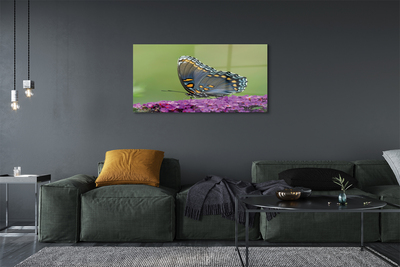 Akriliniai paveikslas Spalvingas drugelis ant gėlių