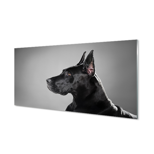 Paveikslas ant akrilinio stiklo Juodas šuo