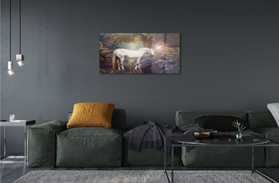 Akrilo stiklo paveikslas Vienaragis miške
