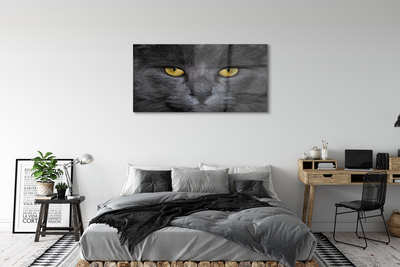 Akrilo stiklo paveikslas Juoda katė