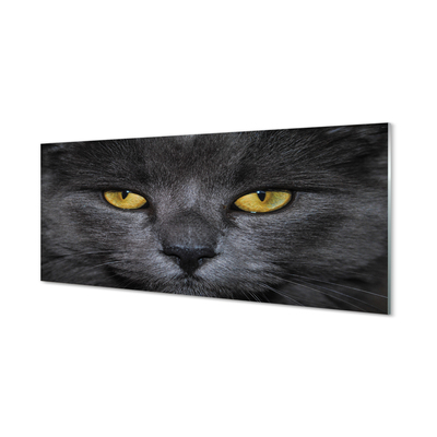 Akrilo stiklo paveikslas Juoda katė