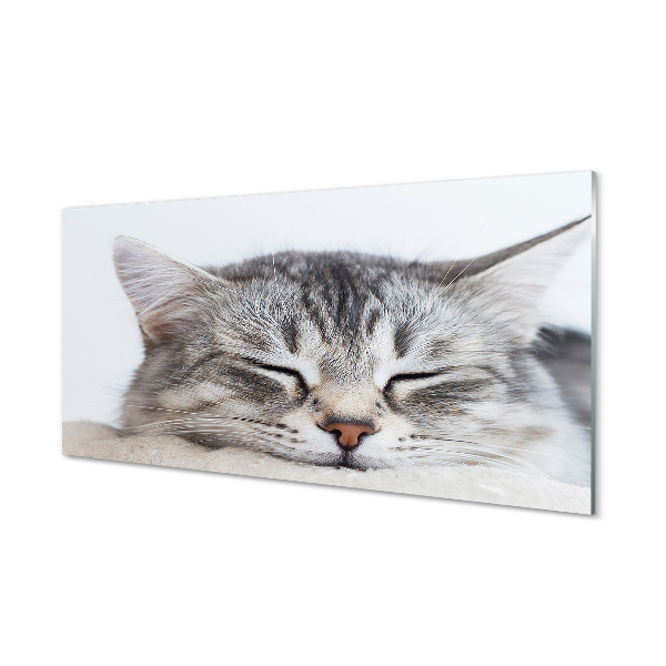 Akriliniai paveikslas Mieganti katė